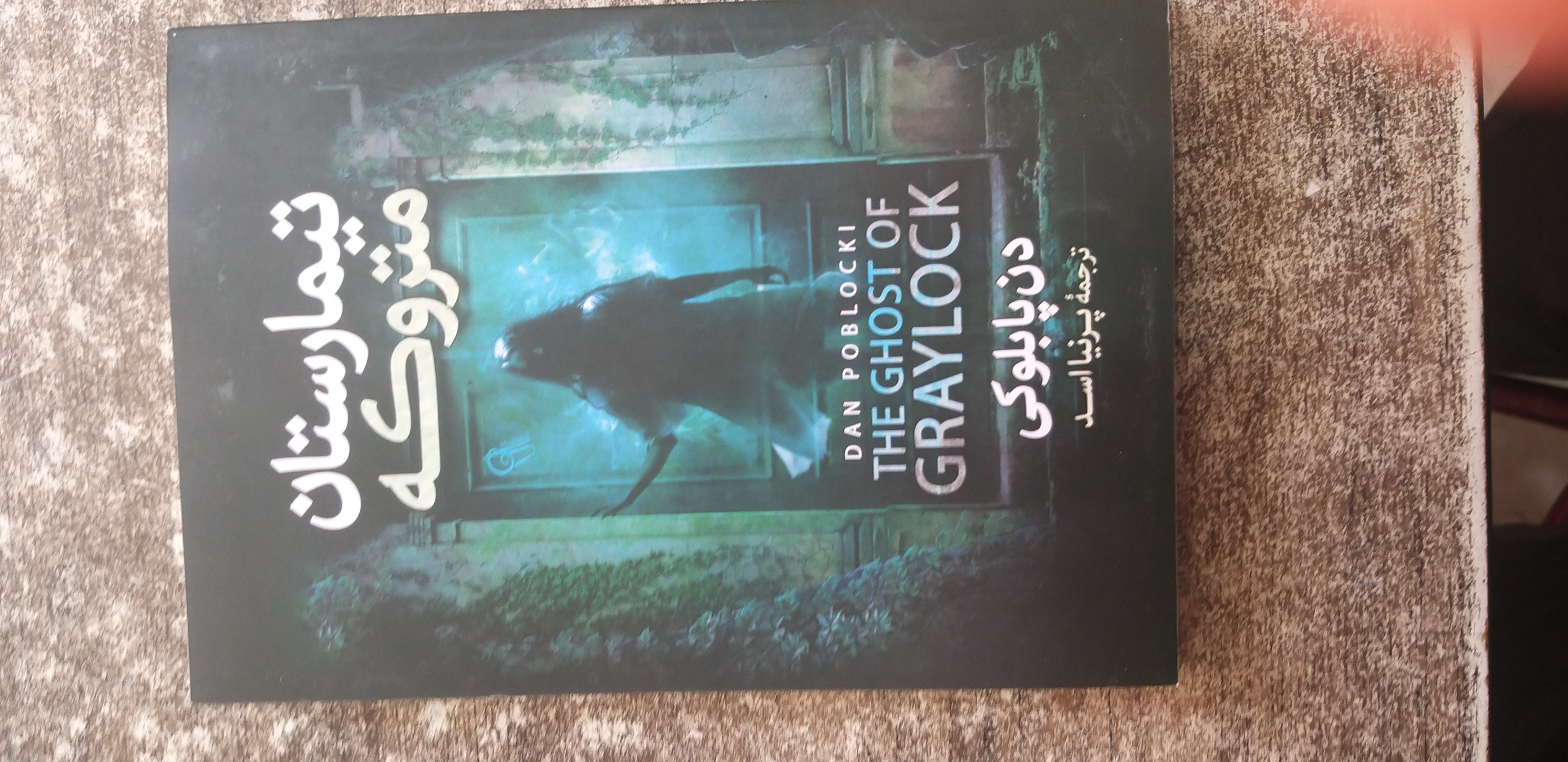 تیمارستان متروکه دن پابلوکی ترجمه پرنیا اسد