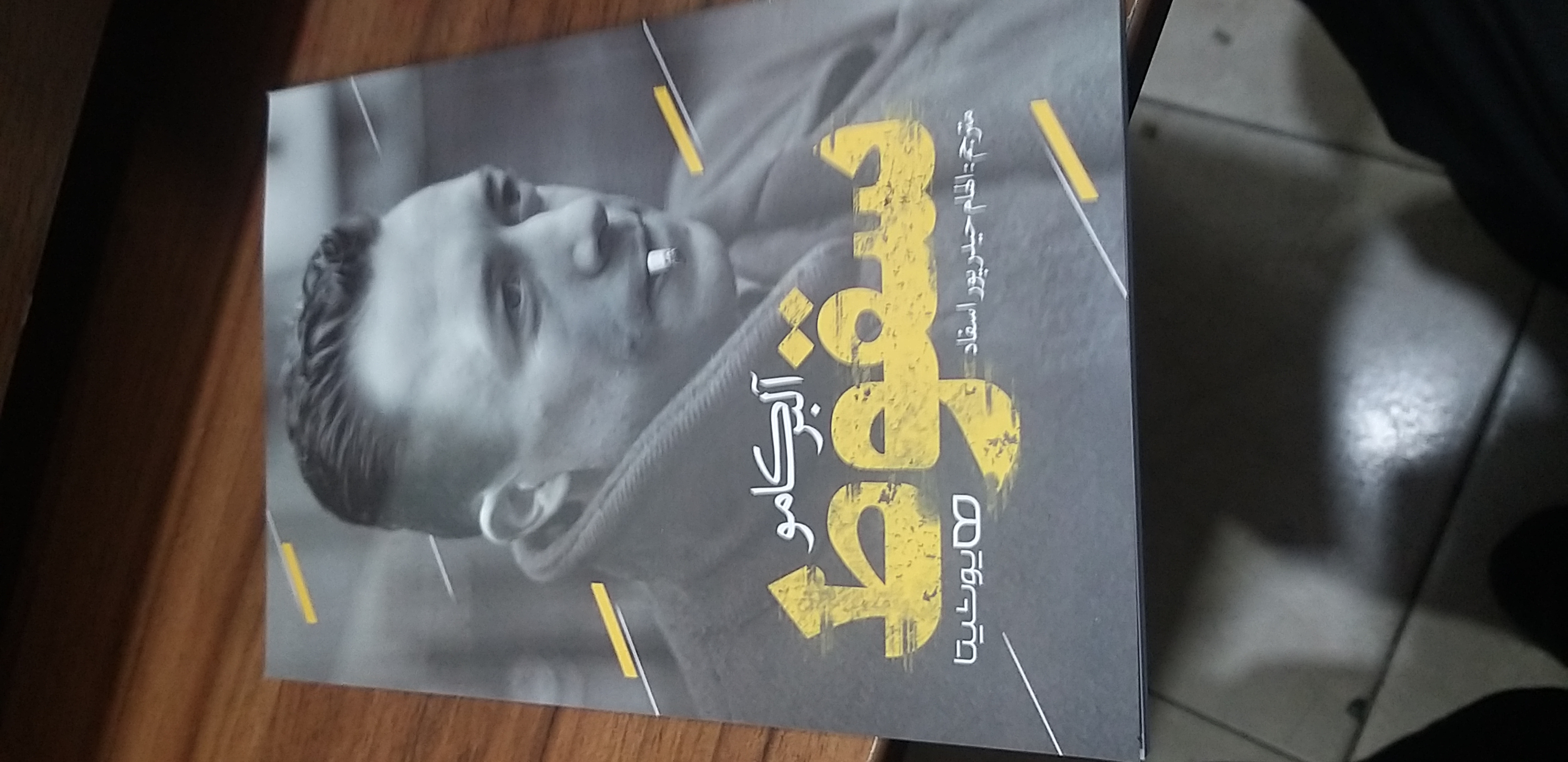 سقوط آلبر کامو الهام حیدر پور اسفاد