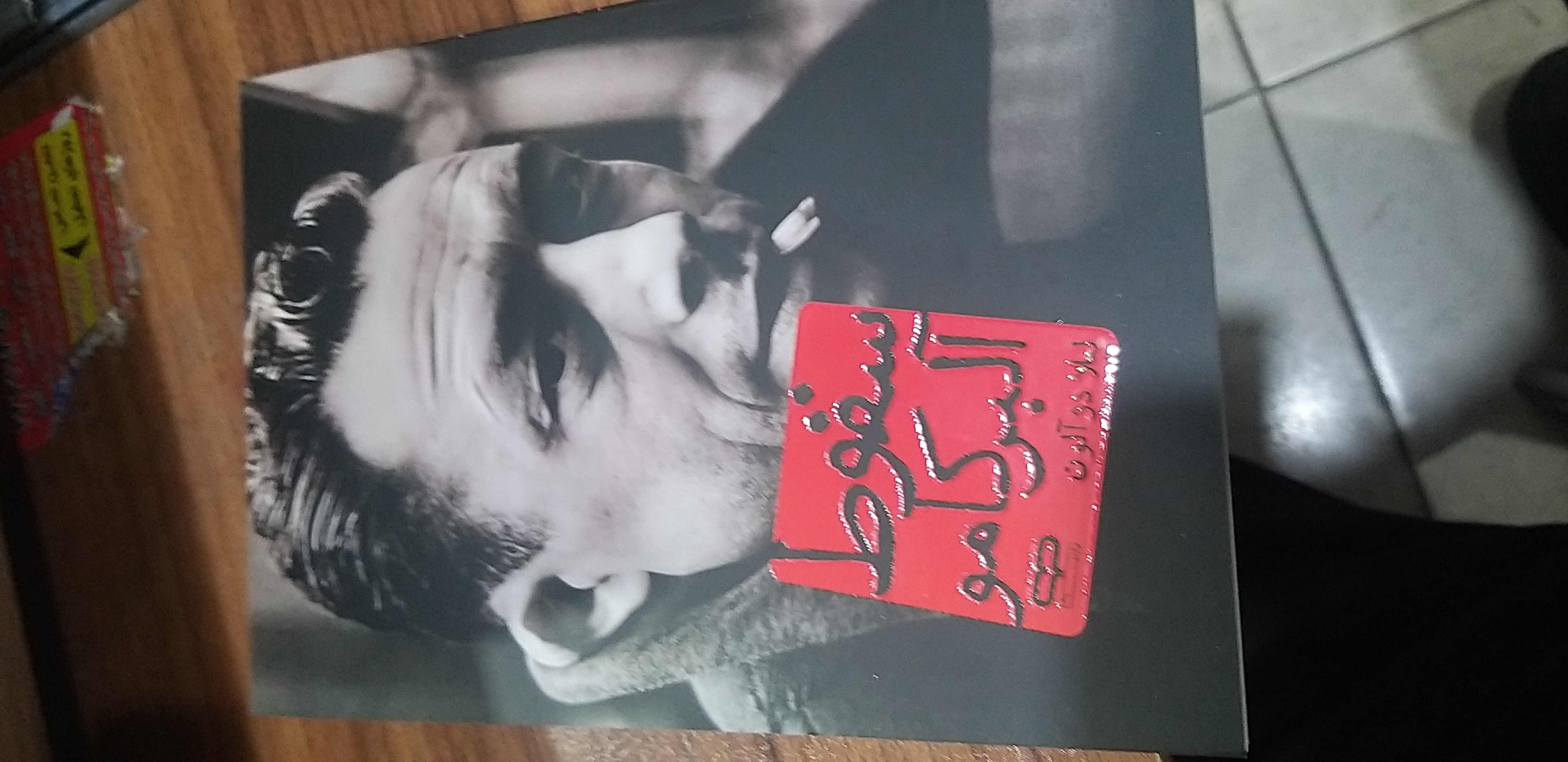 سقوط آلبر کامو لیلا دژ آلون