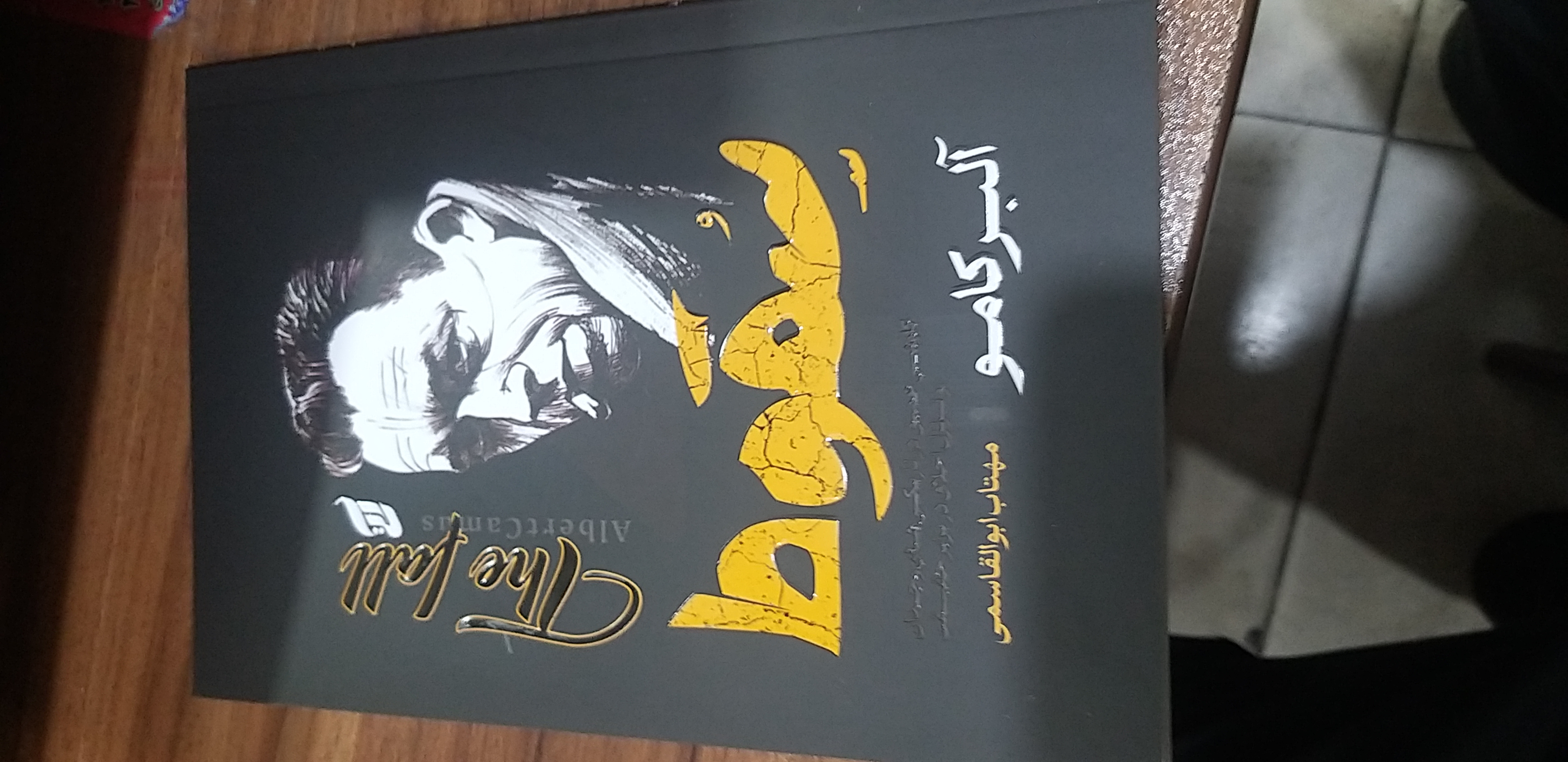 سقوط آلبر کامو مهتاب ابوالقاسی