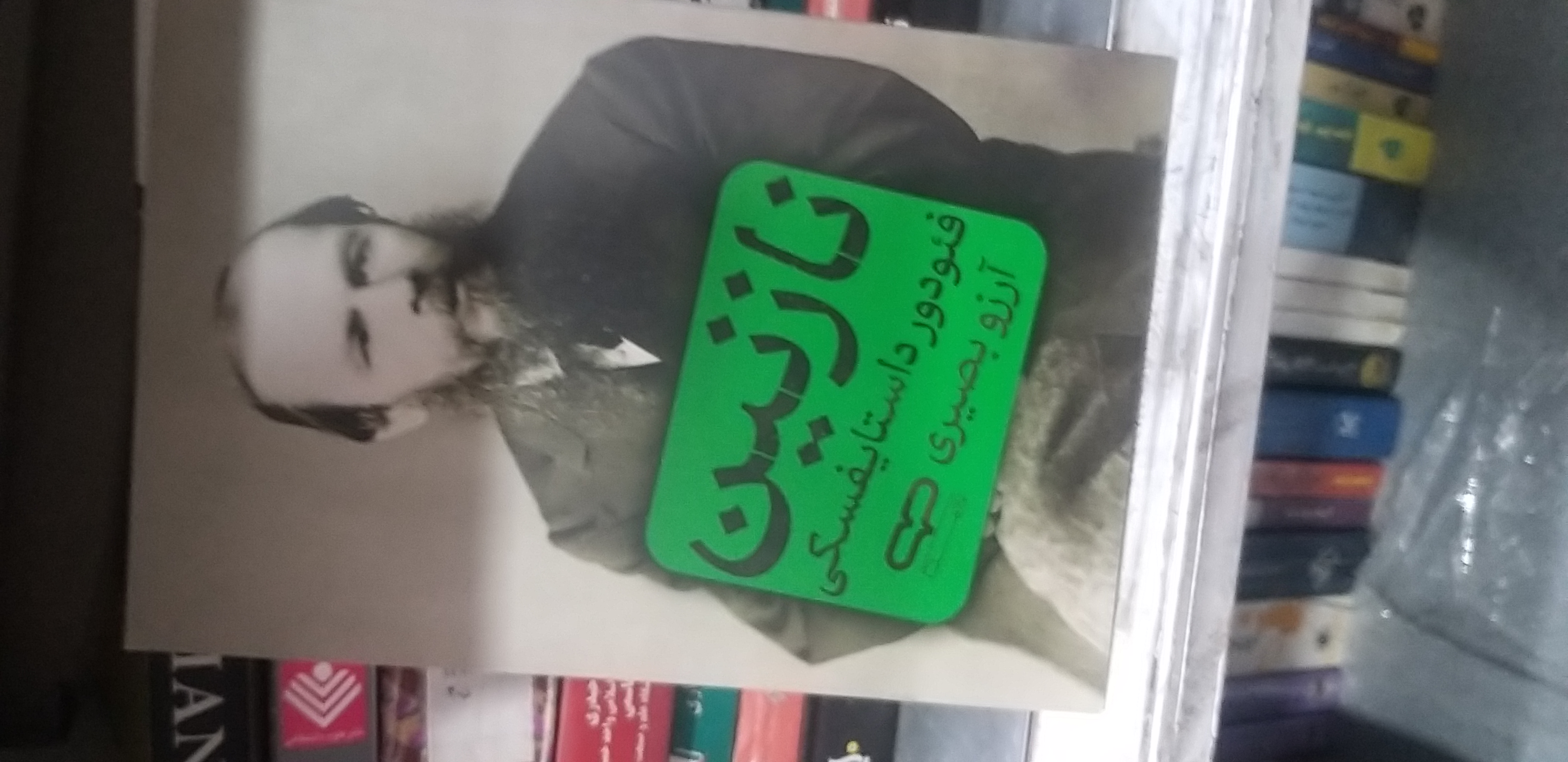 نازنین فئودور داستایفسکی آرزو بصیری
