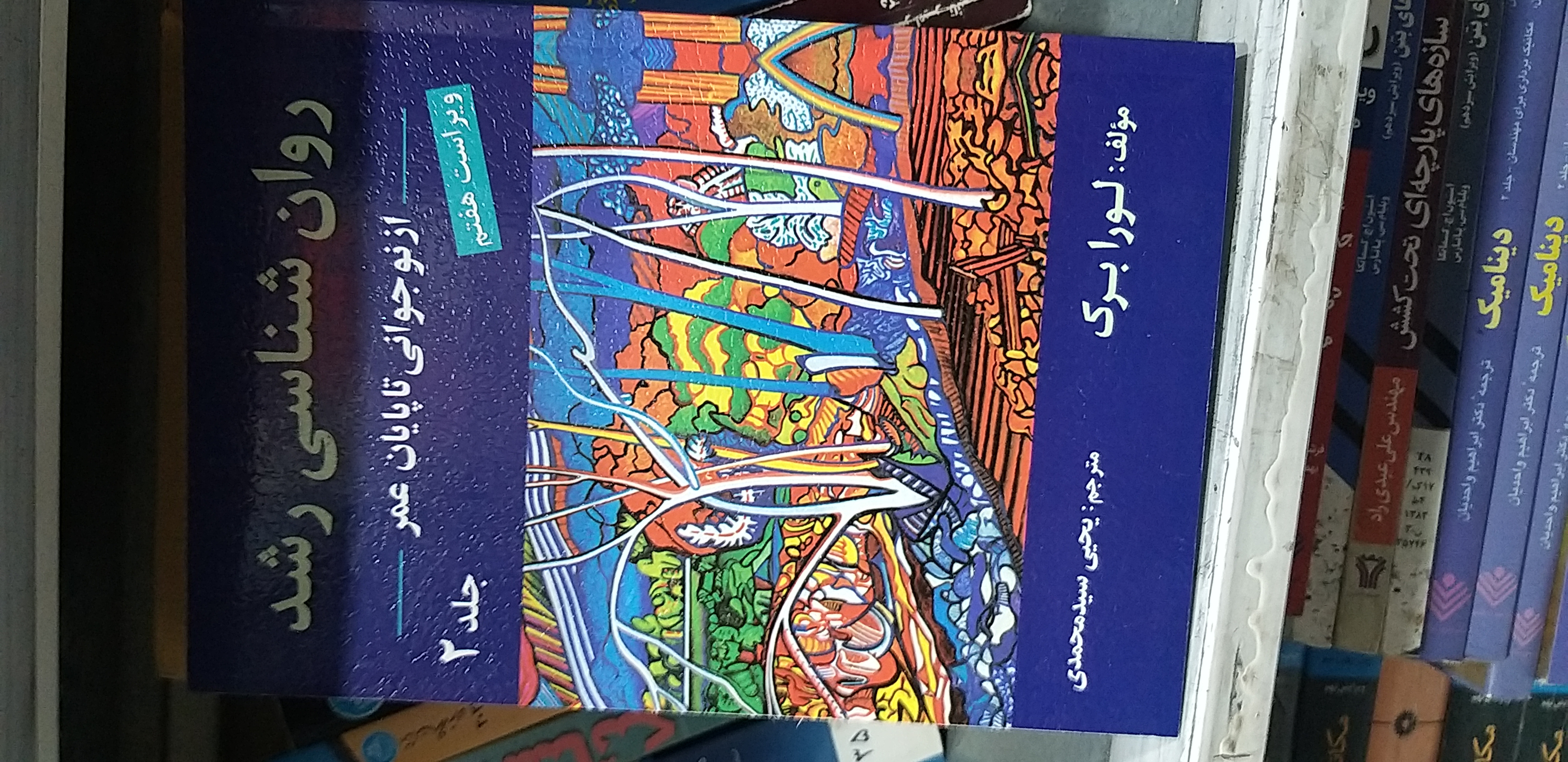 روانشاسی رشد ۲ از نوجوانی تا پایان عمر ویراست هفتم لورابرک یحیی سید محمدی